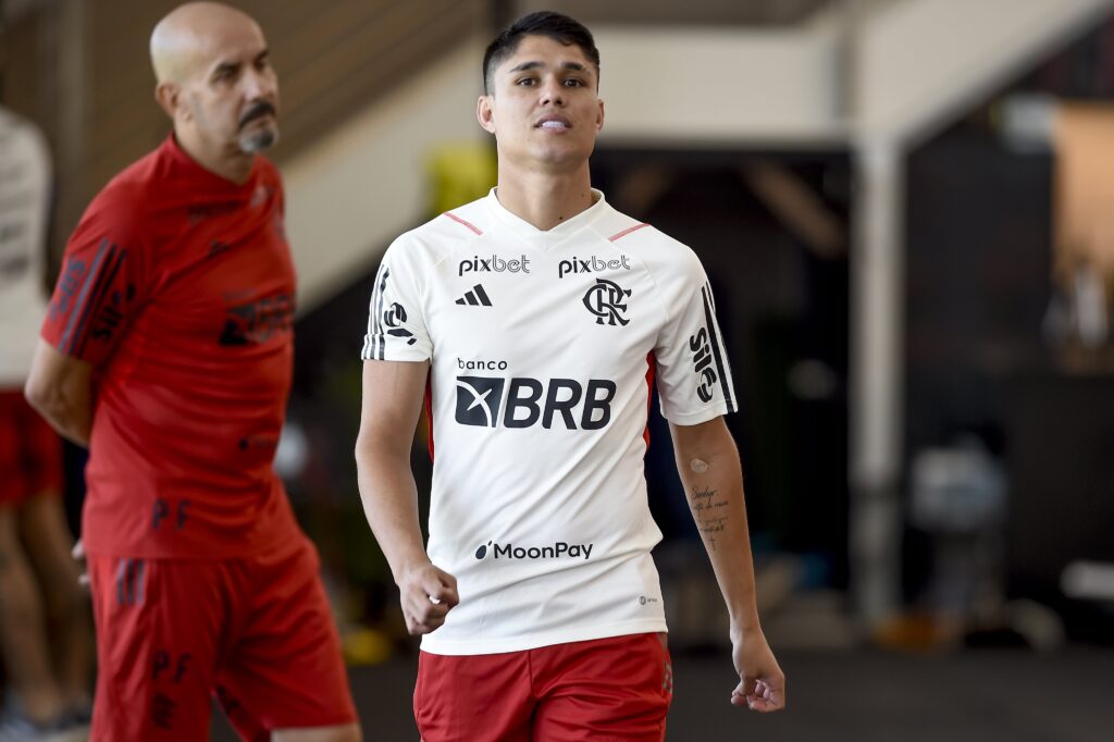 Luiz Araújo Fla TV Flamengo