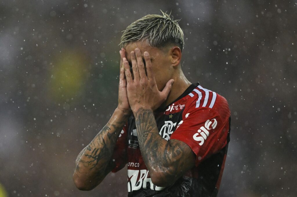 Pedro Flamengo